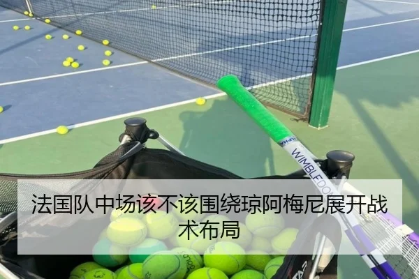 法国队中场该不该围绕琼阿梅尼展开战术布局