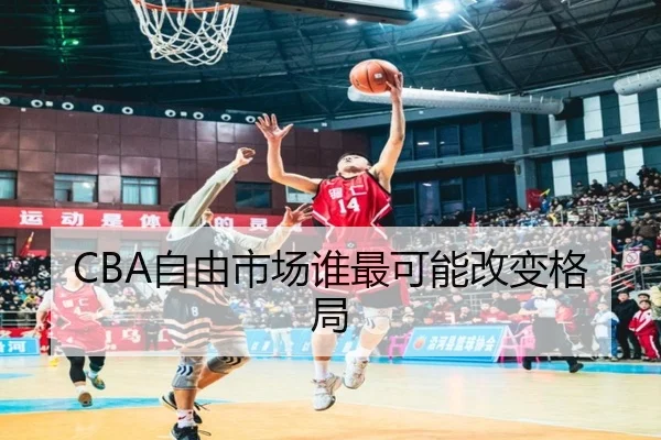 CBA自由市场谁最可能改变格局